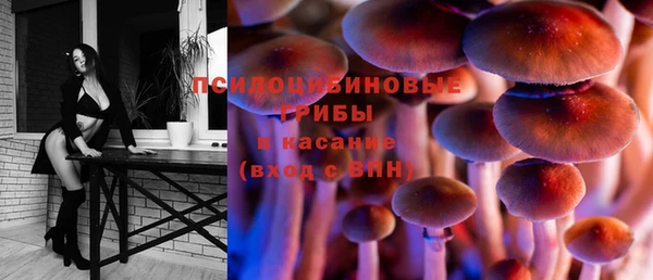 герыч Абаза