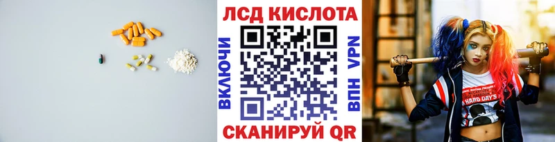 блэк спрут зеркало  где найти наркотики  Новоалександровск  Лсд 25 экстази ecstasy 